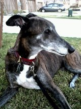 Vinny