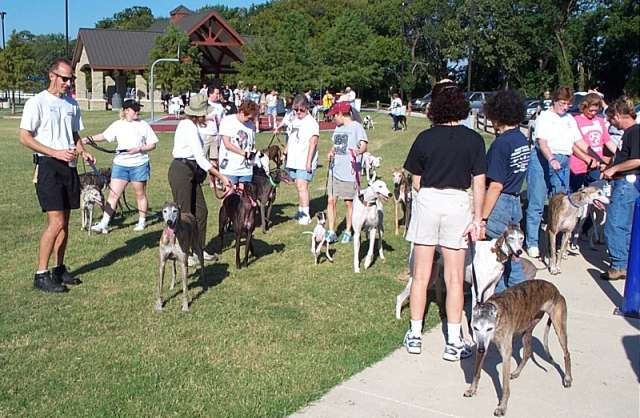 Milling around before the start.  (Photo courtesy of Mark and Kathy McCandless.)