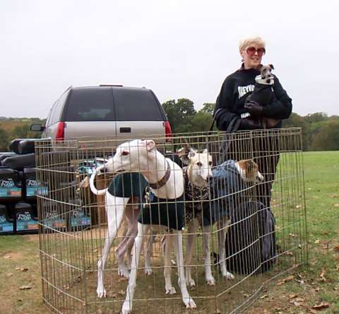 Hey, why are we in this pen and the little one isn't?  Huh?!?