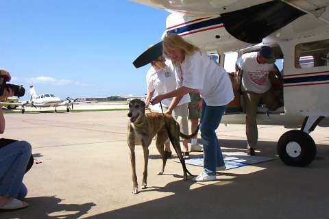 Yvonne out of plane.  Maggie holding lead.  Val climbing out of the plane.  Susan in the background.  Media on the left.