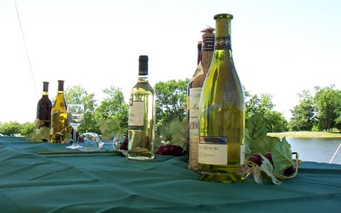 The Wine to Taste