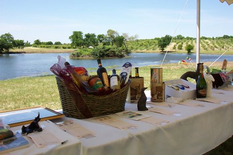 Silent Auction Goodies