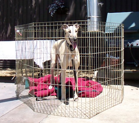 Can I come out now?