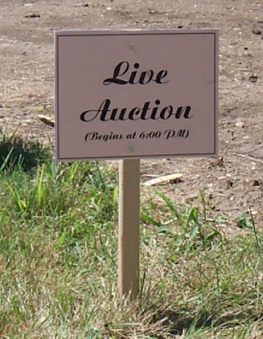 Live Auction