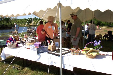 Checking out the Silent Auction tables.