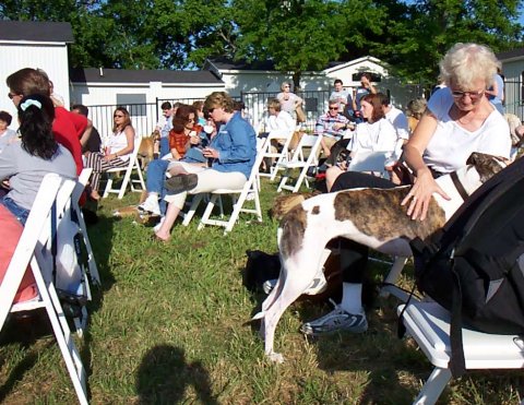 Live Auction audience