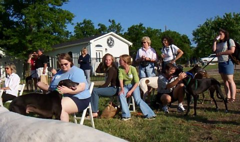 More Live Auction audience