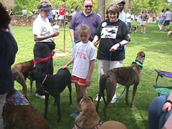 Meeting the Greyhounds