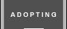 Adopting