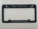 License Plate Holder - Click For Enlargement