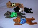 Greyhound Baby - Click For Enlargement