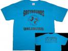 GU Logo T-Shirt: Turquoise - Click For Enlargement