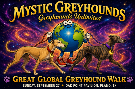 Mystic Greyhounds Great Global Greyhound Walk