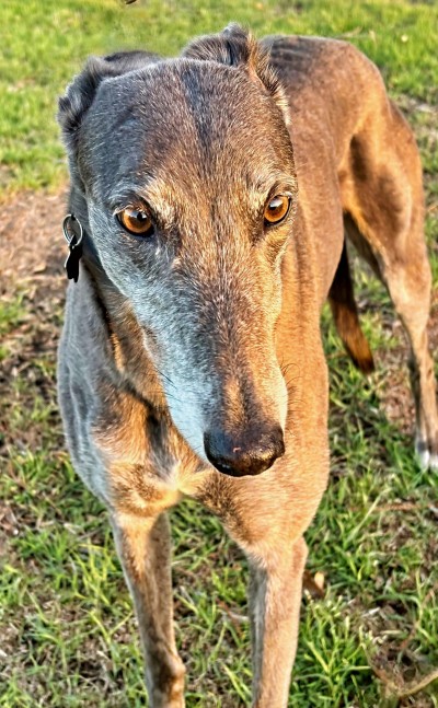 Suzie