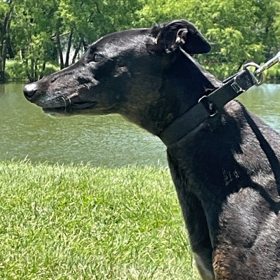 Farrah